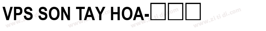 VPS Son Tay Hoa字体转换